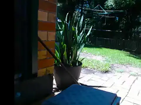 Snapshot of InfamousBabyy_ chatting on 12-12-24, 12:27 InfamousBabyy online show from 12-12-24, 12:27