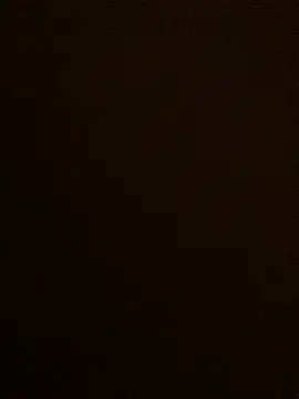 Lona Lina online show from 01-19-25, 12:28