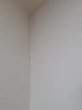 D vid99 online show from 11-12-25, 02:06