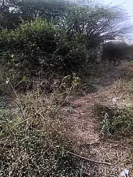 Abinash7732 online show from 02-01-26, 03:05