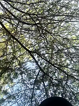 Abinash7732 online show from 03-08-26, 02:15