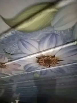 kunalmishra2003 online show from 11-20-25, 11:48