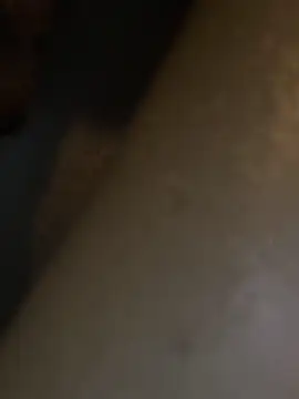 HBYAM online show from 12-30-24, 06:38