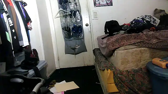 HBYAM online show from 02-19-26, 07:54