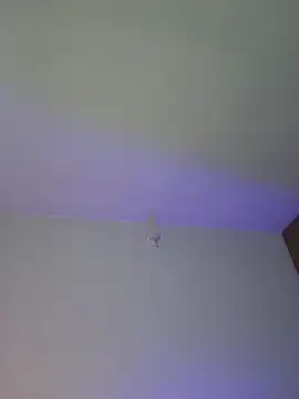 mich bittersweet online show from 04-17-26, 11:19