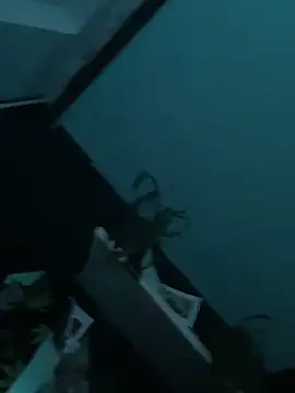 Snapshot of big_cock_is_back chatting on 12-29-24, 01:56 big cock is back online show from 12-29-24, 01:56