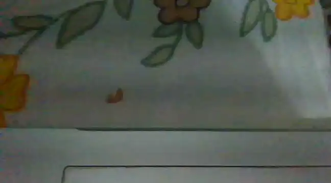 biggest lund  online show from 12-28-24, 12:45