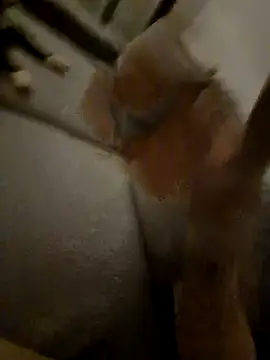 Bretoncool online show from 04-04-26, 08:50