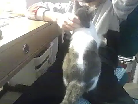 Snapshot of kallaviz chatting on 01-07-26, 07:16 kallaviz online show from 01-07-26, 07:16