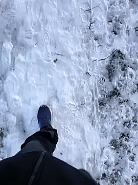 OdinWolf1990 online show from 01-10-26, 08:49