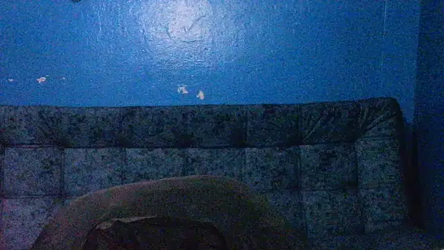 Marilyn xxxx online show from 12-28-24, 12:04