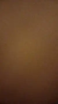 Nutbuster247 online show from 02-27-25, 11:04