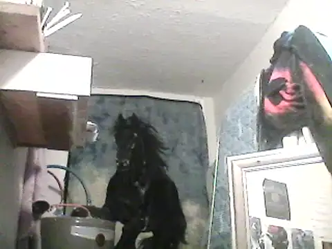 Snapshot of lilbishmiss chatting on 02-13-25, 10:12 lilbishmiss online show from 02-13-25, 10:12