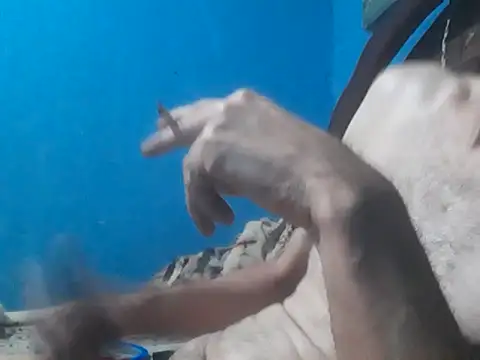 Snapshot of hugosafado333 chatting on 10-15-25, 06:35 hugosafado333 online show from 10-15-25, 06:35