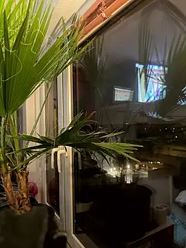 pillepallex84x online show from 01-09-26, 04:54