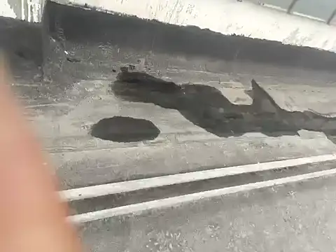 Snapshot of Gururonny07 chatting on 01-15-25, 05:29 Gururonny07 online show from 01-15-25, 05:29