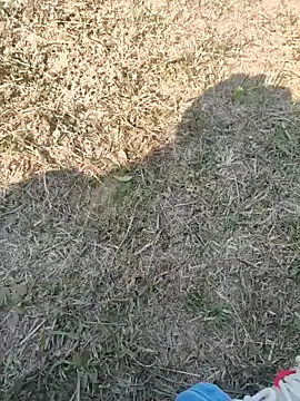 Snapshot of Gururonny07 chatting on 01-27-25, 07:45 Gururonny07 online show from 01-27-25, 07:45