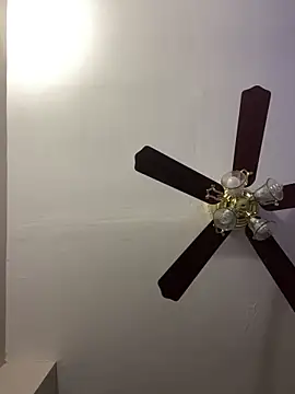 islandvybee55 online show from 04-15-26, 12:01