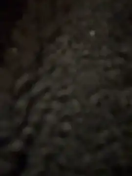 cicciolina online show from 01-31-25, 09:16