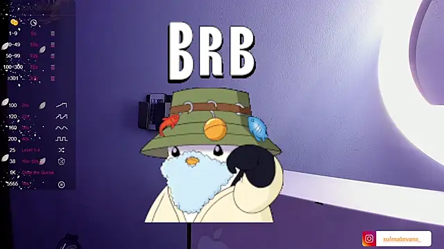  sulmatevans  online show from 01-24-25, 11:48