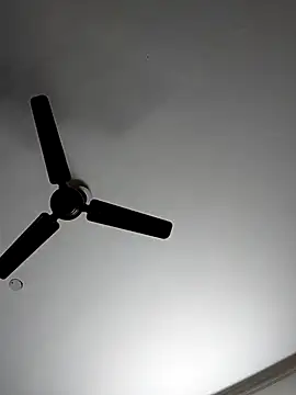 cutiecatty21 online show from 11-04-25, 10:58