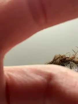 laninasub online show from 04-23-26, 03:30