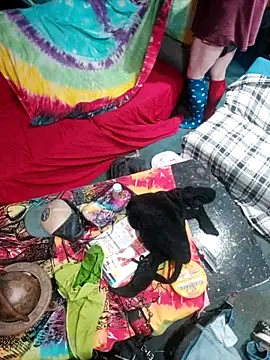 Boo-boo kittyfux online show from 10-15-25, 08:47