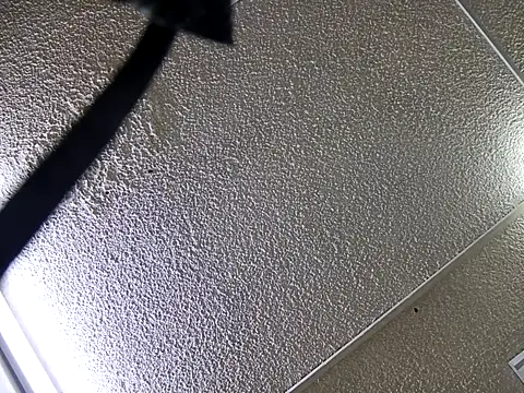 Snapshot of yajahil chatting on 11-28-25, 07:38 yajahil online show from 11-28-25, 07:38