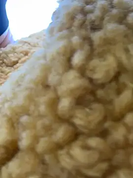 moneymaker taipei online show from 02-25-26, 07:29