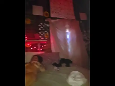 pdoc07 online show from 04-27-26, 05:11