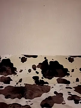 Zgodanilep online show from 04-05-26, 08:28