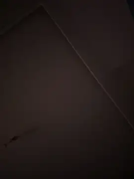 eddy355 online show from 10-26-25, 09:31