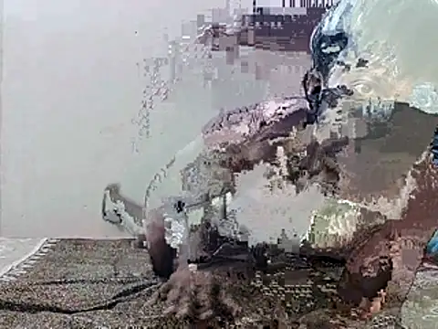 HunkyAriyan online show from 11-11-25, 01:44