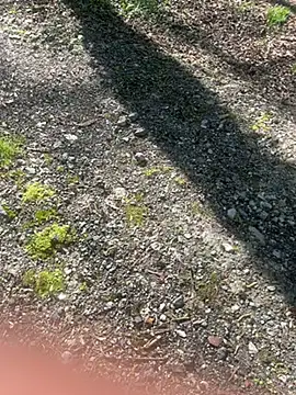 pupine35 online show from 04-03-26, 10:13