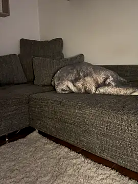 godspot  online show from 10-30-25, 08:20