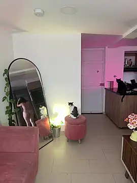 Snapshot of DakotaShelby chatting on 01-13-25, 08:37 DakotaShelby online show from 01-13-25, 08:37