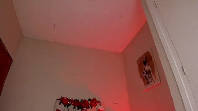 Snapshot of dani_skinny_ chatting on 12-27-24, 06:31 dani skinny online show from 12-27-24, 06:31