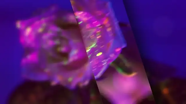 Snapshot of HeyBananas chatting on 10-22-25, 05:56 HeyBananas online show from 10-22-25, 05:56