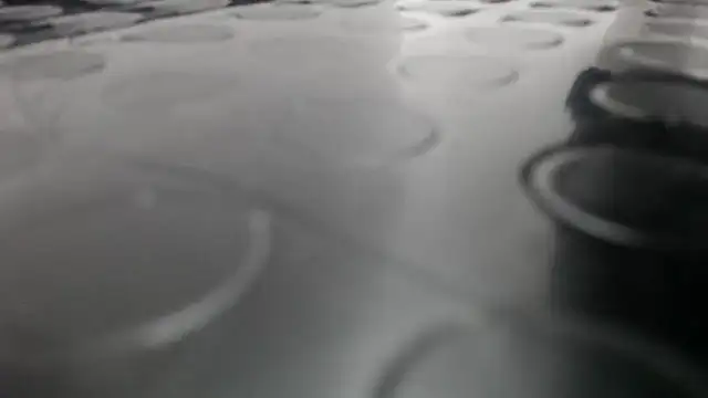 Kitten Hot  online show from 11-13-25, 11:25