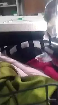 6MataGarcia online show from 12-17-24, 01:50