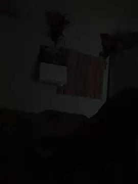 Snapshot of Johnras121 chatting on 09-23-25, 03:42 Johnras121 online show from 09-23-25, 03:42