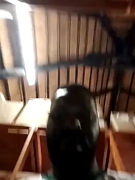 Touch mysoul online show from 10-26-25, 08:09