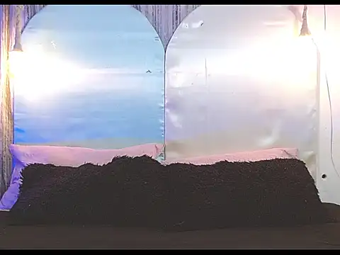 tylor boy online show from 01-07-26, 04:26