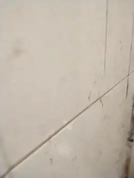 rohitlov150 online show from 11-14-25, 02:32