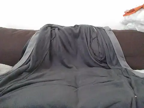 CitizenDick online show from 04-29-26, 11:47