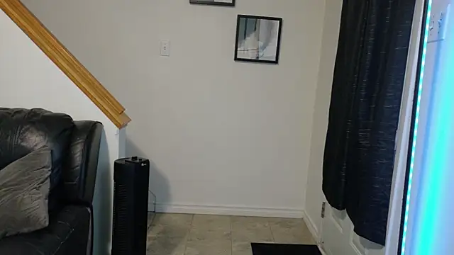 Snapshot of Thekodyy chatting on 11-17-25, 12:33 Thekodyy online show from 11-17-25, 12:33