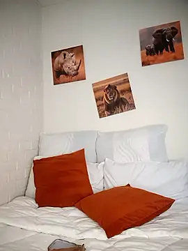 Shria107 online show from 01-08-26, 11:45