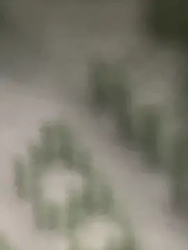 Estefanii- online show from 12-16-24, 01:32