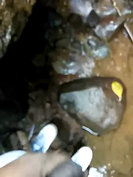 dpkpaksudda online show from 09-24-25, 07:12