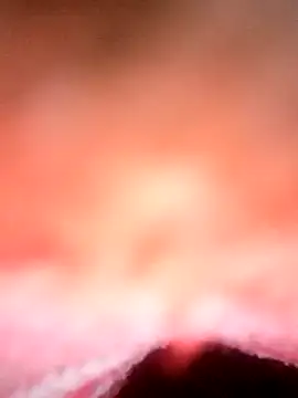 Snapshot of Avantika19 chatting on 01-06-25, 12:13 Avantika19 online show from 01-06-25, 12:13